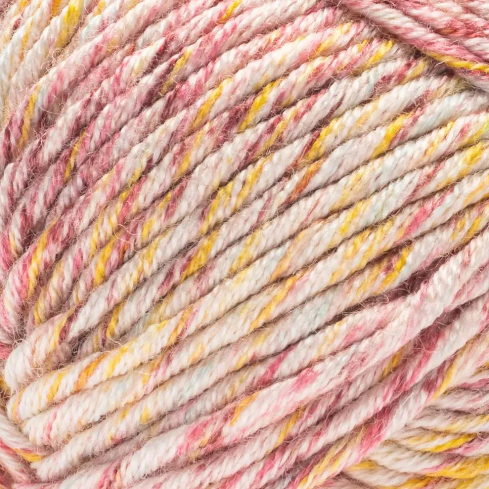 2 Pack Caron® Simply Me Mosaic™ Yarn