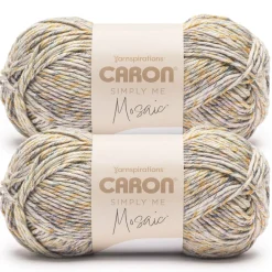 2 Pack Caron® Simply Me Mosaic™ Yarn
