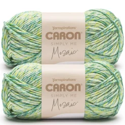 2 Pack Caron® Simply Me Mosaic™ Yarn