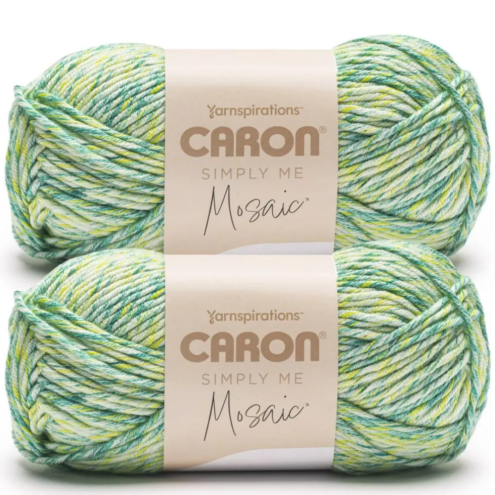 2 Pack Caron® Simply Me Mosaic™ Yarn