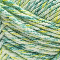 2 Pack Caron® Simply Me Mosaic™ Yarn