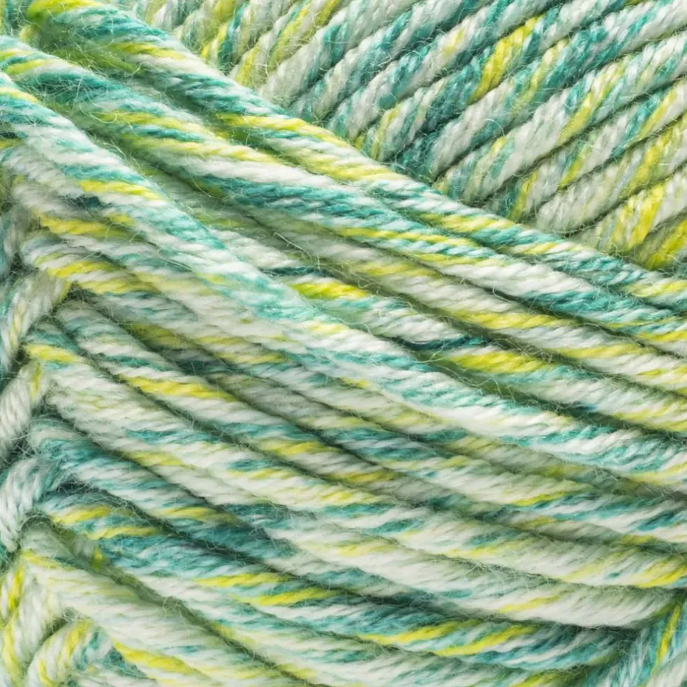 2 Pack Caron® Simply Me Mosaic™ Yarn