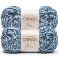 2 Pack Caron® Simply Me Mosaic™ Yarn