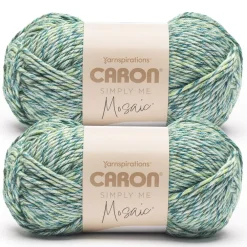 2 Pack Caron® Simply Me Mosaic™ Yarn