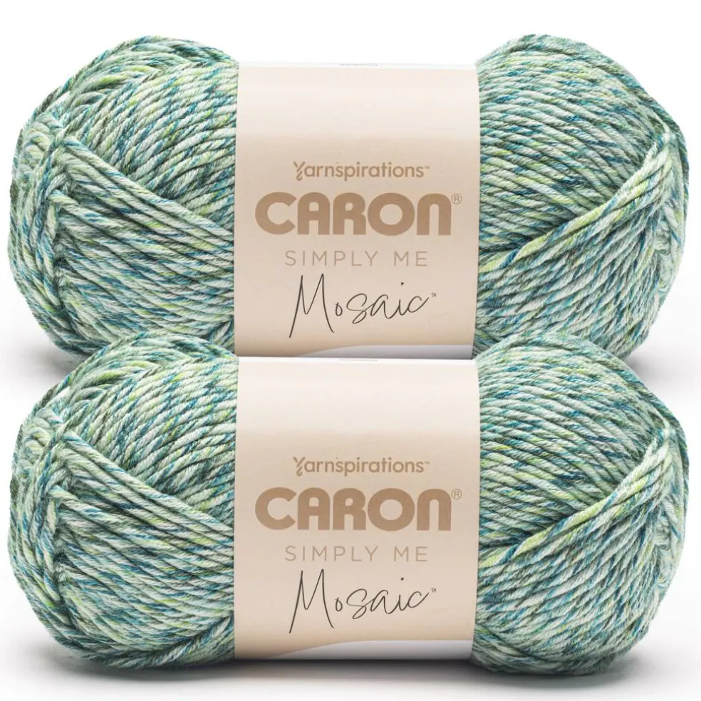 2 Pack Caron® Simply Me Mosaic™ Yarn