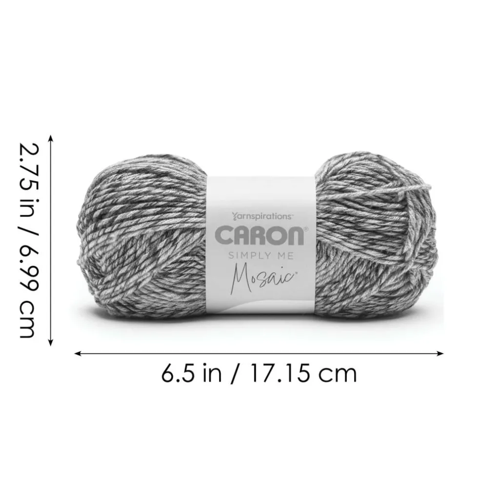2 Pack Caron® Simply Me Mosaic™ Yarn