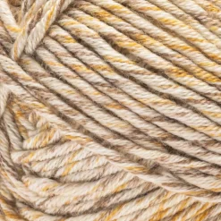 2 Pack Caron® Simply Me Mosaic™ Yarn