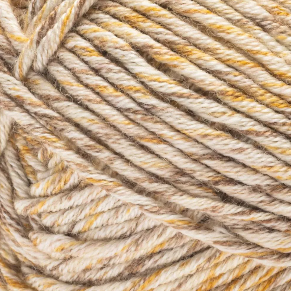 2 Pack Caron® Simply Me Mosaic™ Yarn