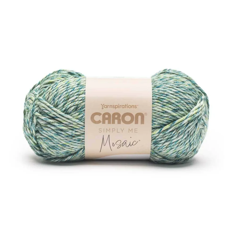 6 Pack: Caron® Simply Me Mosaic™ Yarn