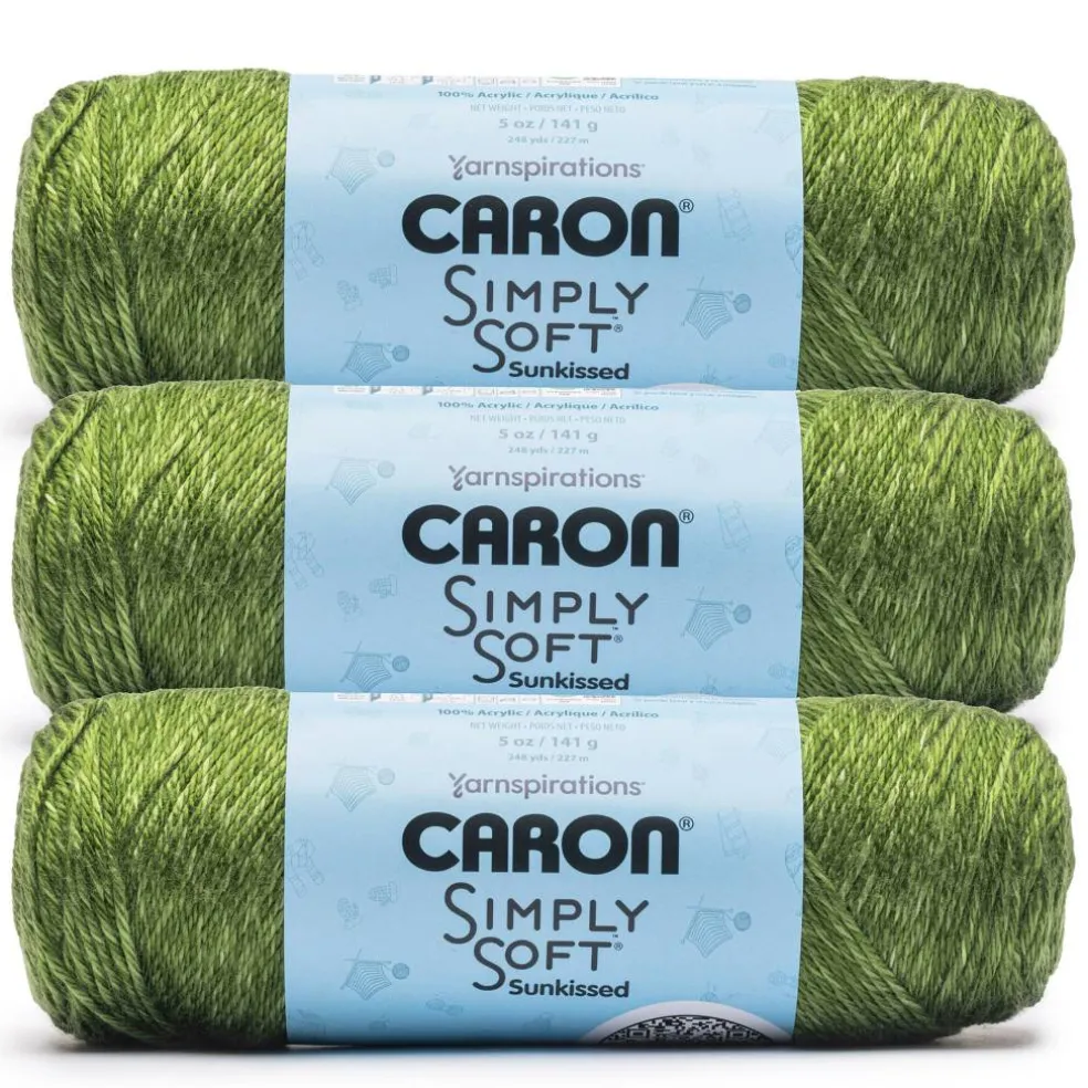 3 Pack Caron® Simply Soft Sunkissed™ Tonal Yarn