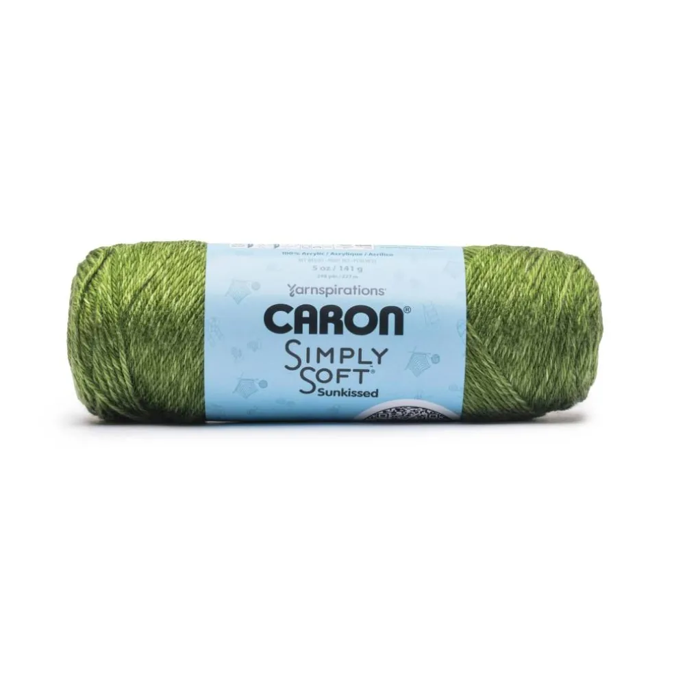3 Pack Caron® Simply Soft Sunkissed™ Tonal Yarn