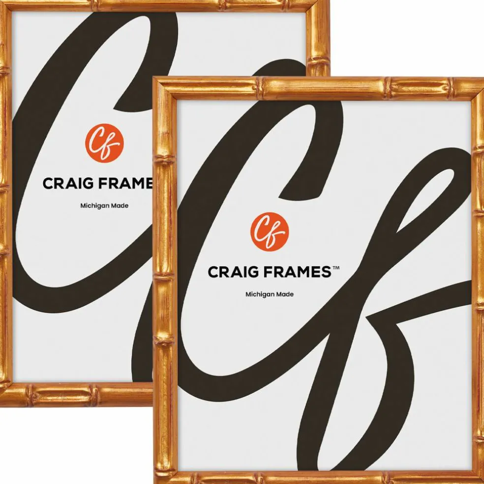 2 Pack Craig Frames Vintage Bamboo Brushed Gold Picture Frame