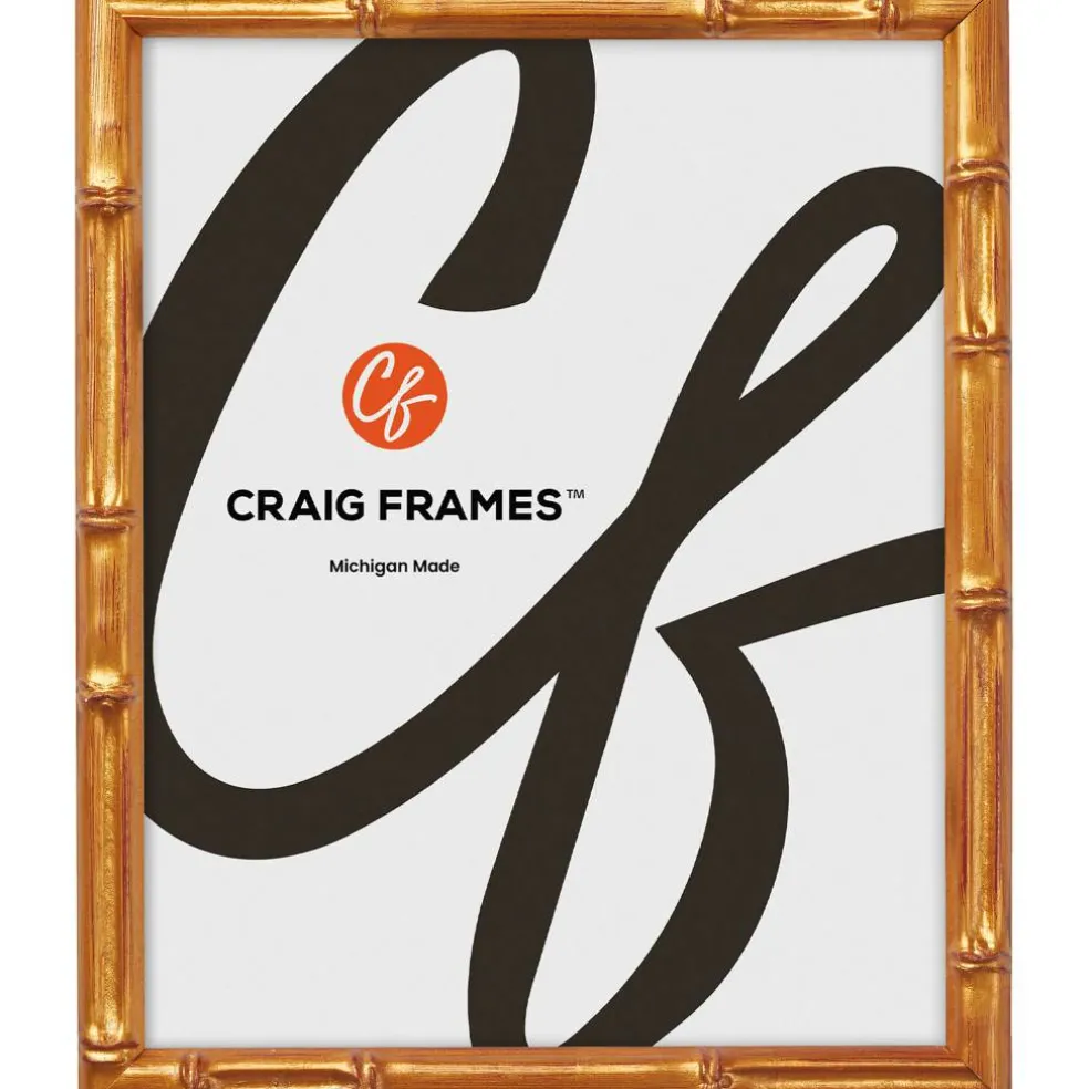 2 Pack Craig Frames Vintage Bamboo Brushed Gold Picture Frame
