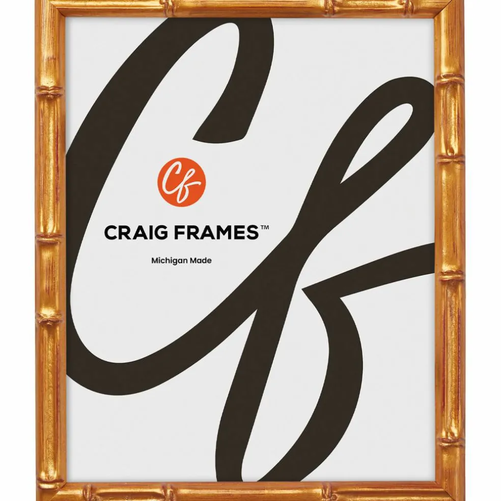 2 Pack Craig Frames Vintage Bamboo Brushed Gold Picture Frame