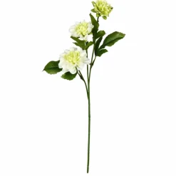 6 Pack: Cream Dahlia Spray