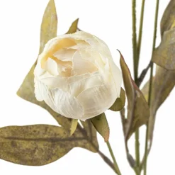 16 Pack: Cream Peony Stem by Ashland®