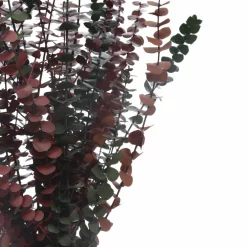 16 Pack: Dried Eucalyptus Bundle by Ashland®