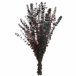 16 Pack: Dried Eucalyptus Bundle by Ashland®