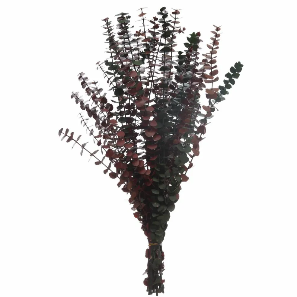 16 Pack: Dried Eucalyptus Bundle by Ashland®