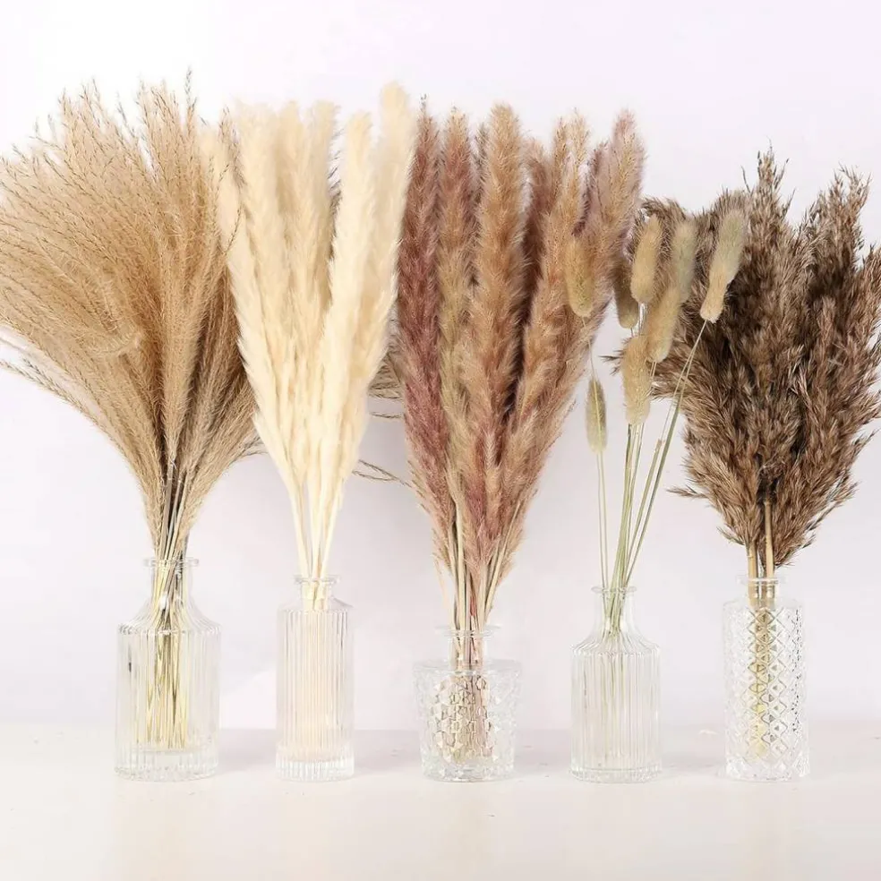 75-Pack Dried Fall Pampas Grass – White & Brown Pampas, Bunny Tail, Reed, Fluffy Dried Flowers for Home, Wedding, Table, Vase, Boho & Modern Decor