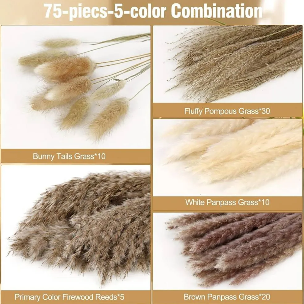 75-Pack Dried Fall Pampas Grass – White & Brown Pampas, Bunny Tail, Reed, Fluffy Dried Flowers for Home, Wedding, Table, Vase, Boho & Modern Decor