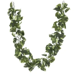 6 Pack: 6ft. Variegated Pothos Chain Garland by Ashland®