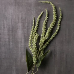 12 Pack: Green Amaranthus Stem by Ashland®