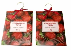 2 Pack Large Hanging Closet Sachet 9 x 6.75 with Metal Hanger and Bow