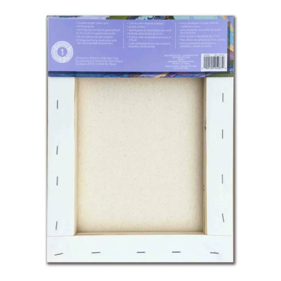 12 Pack: Level 1 Back Stapled Traditional Canvas by Artist's Loft™