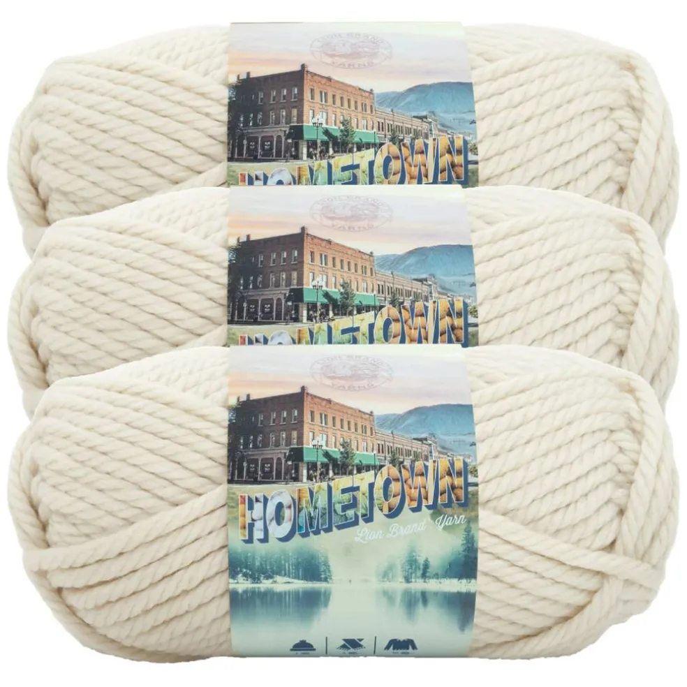 3 Pack Lion Brand® Hometown Yarn