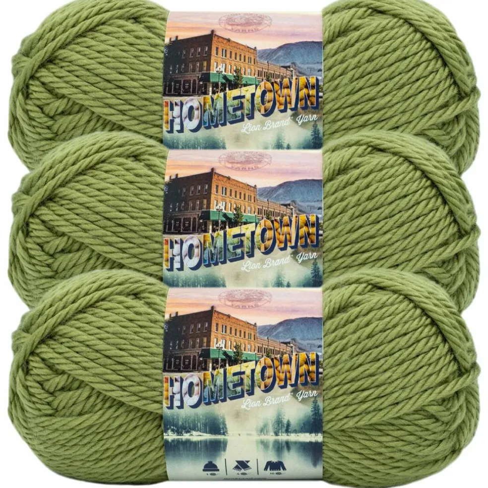 3 Pack Lion Brand® Hometown Yarn