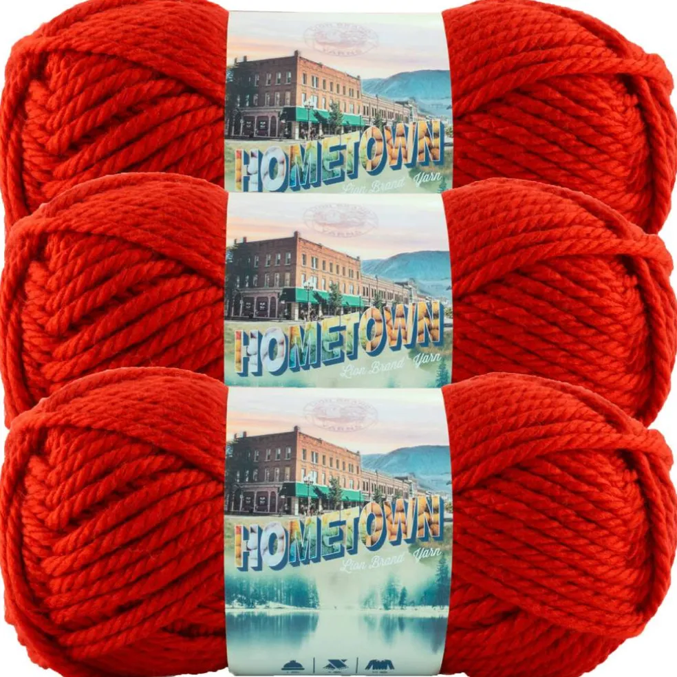 3 Pack Lion Brand® Hometown Yarn
