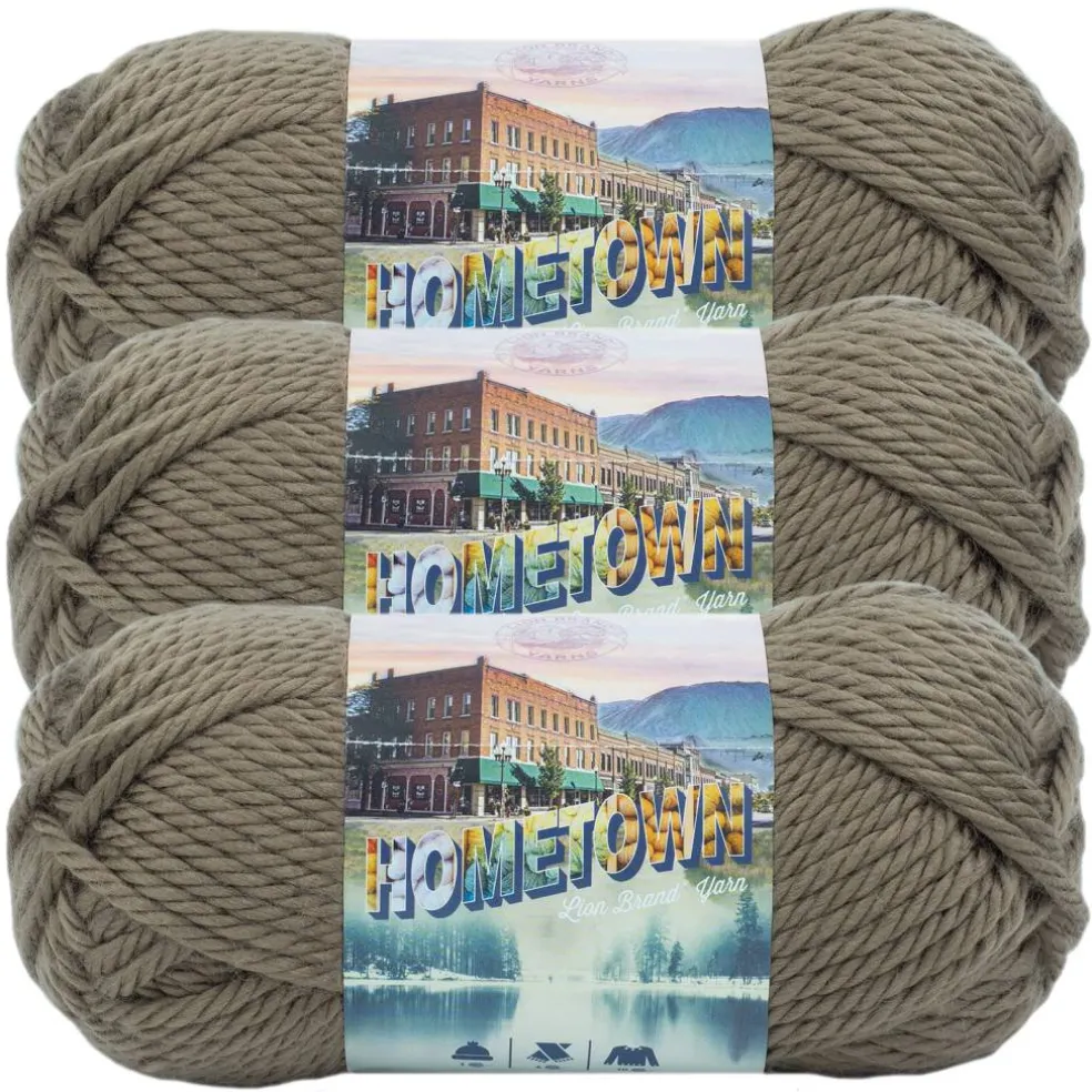 3 Pack Lion Brand® Hometown Yarn