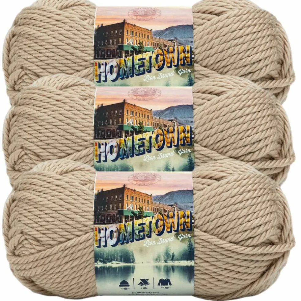 3 Pack Lion Brand® Hometown Yarn