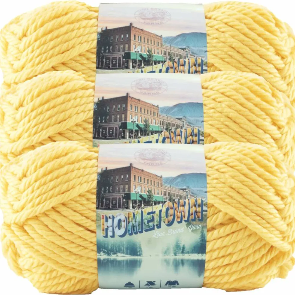 3 Pack Lion Brand® Hometown Yarn