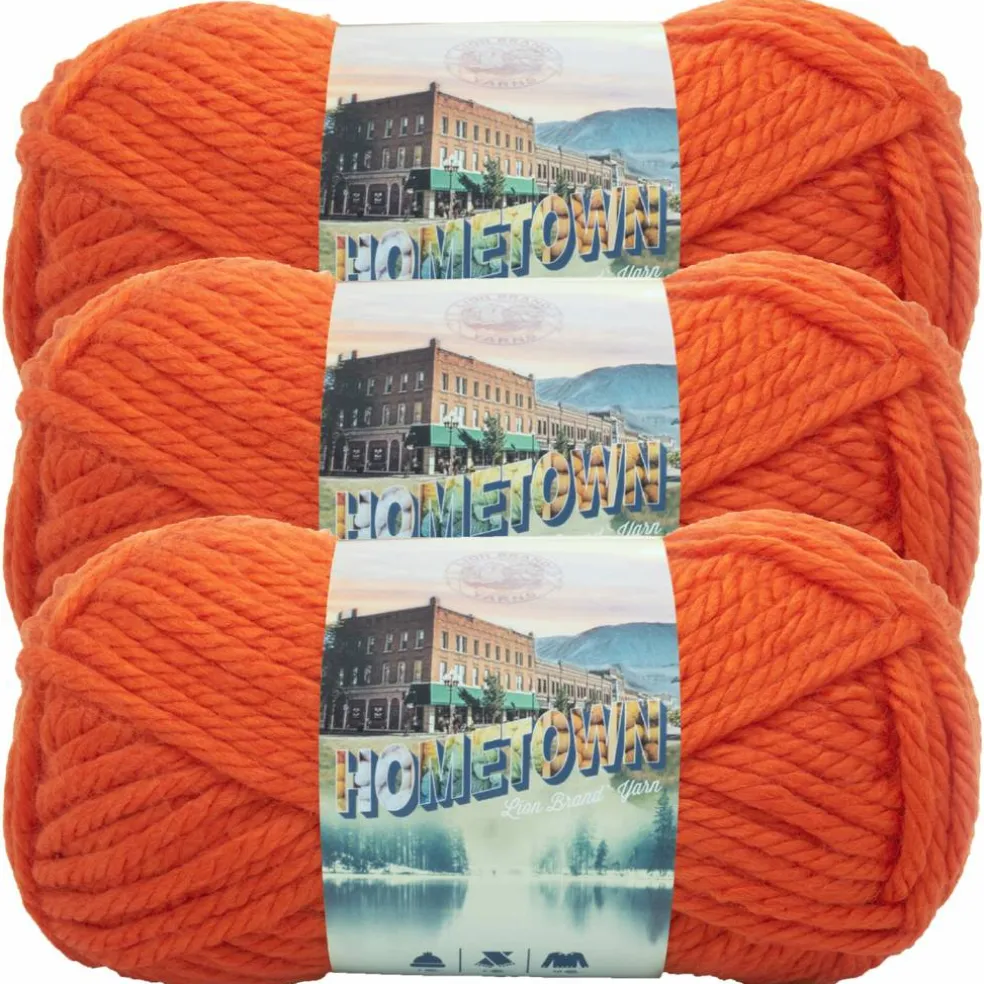 3 Pack Lion Brand® Hometown Yarn