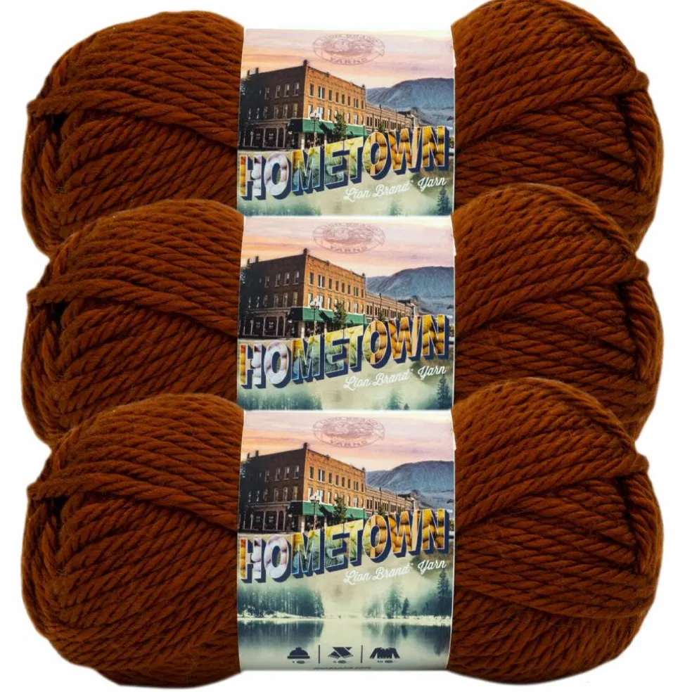 3 Pack Lion Brand® Hometown Yarn