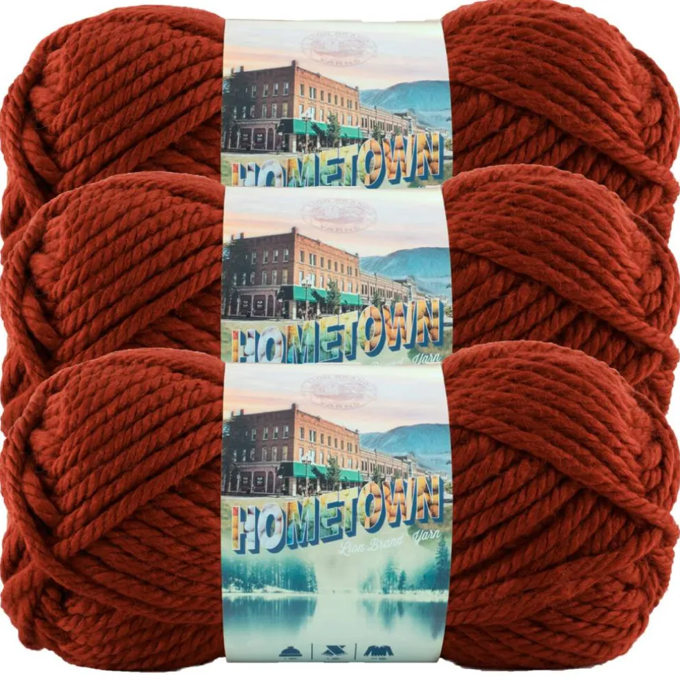 3 Pack Lion Brand® Hometown Yarn