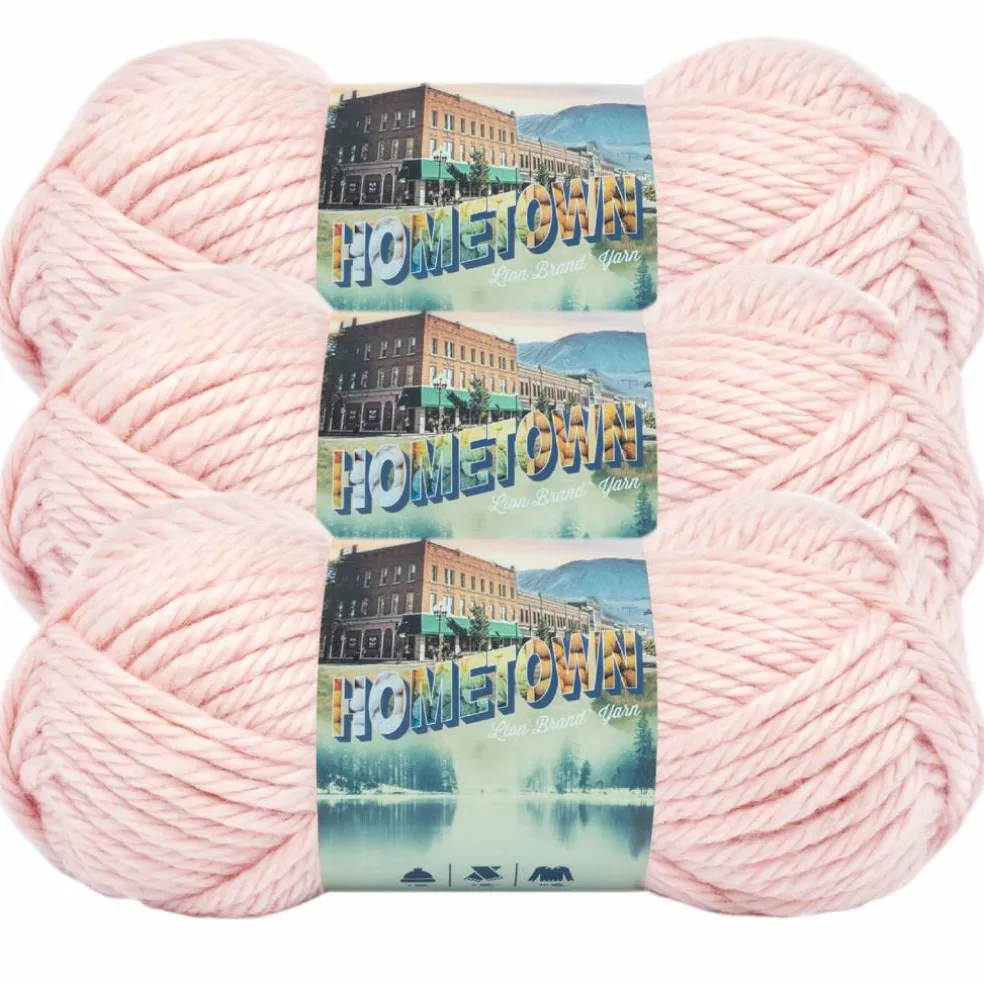 3 Pack Lion Brand® Hometown Yarn