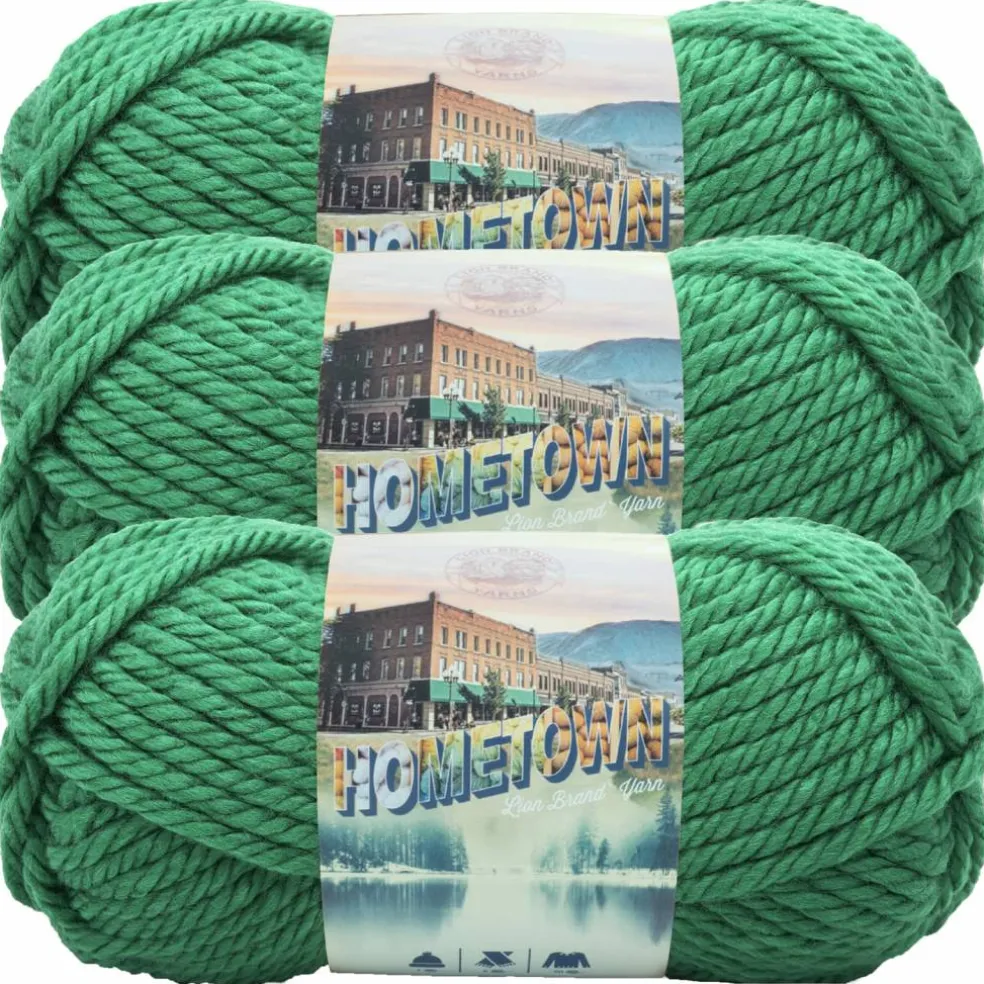 3 Pack Lion Brand® Hometown Yarn