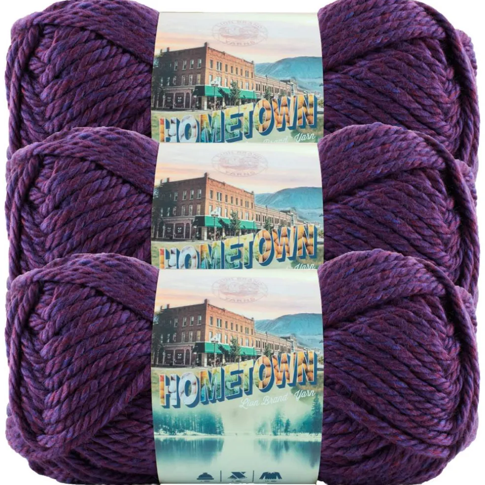 3 Pack Lion Brand® Hometown Yarn