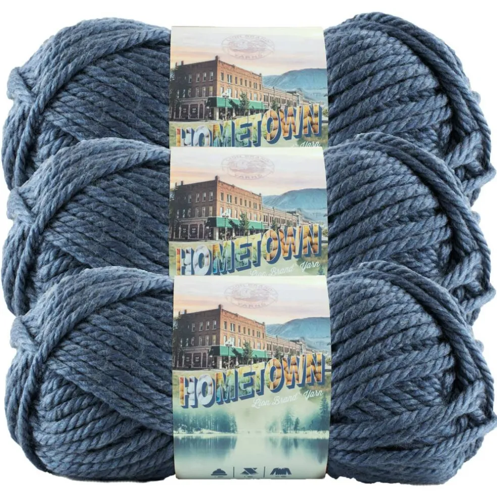 3 Pack Lion Brand® Hometown Yarn