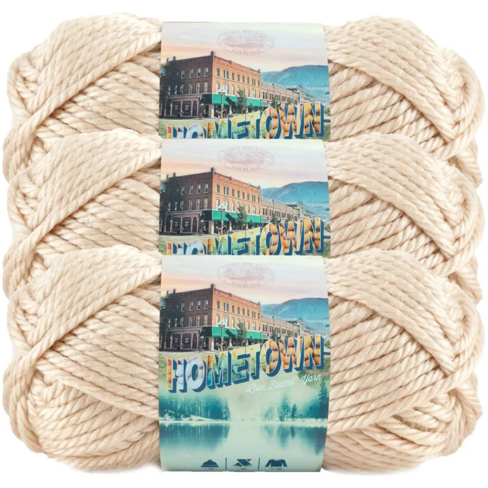 3 Pack Lion Brand® Hometown Yarn