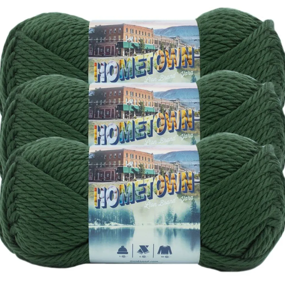 3 Pack Lion Brand® Hometown Yarn