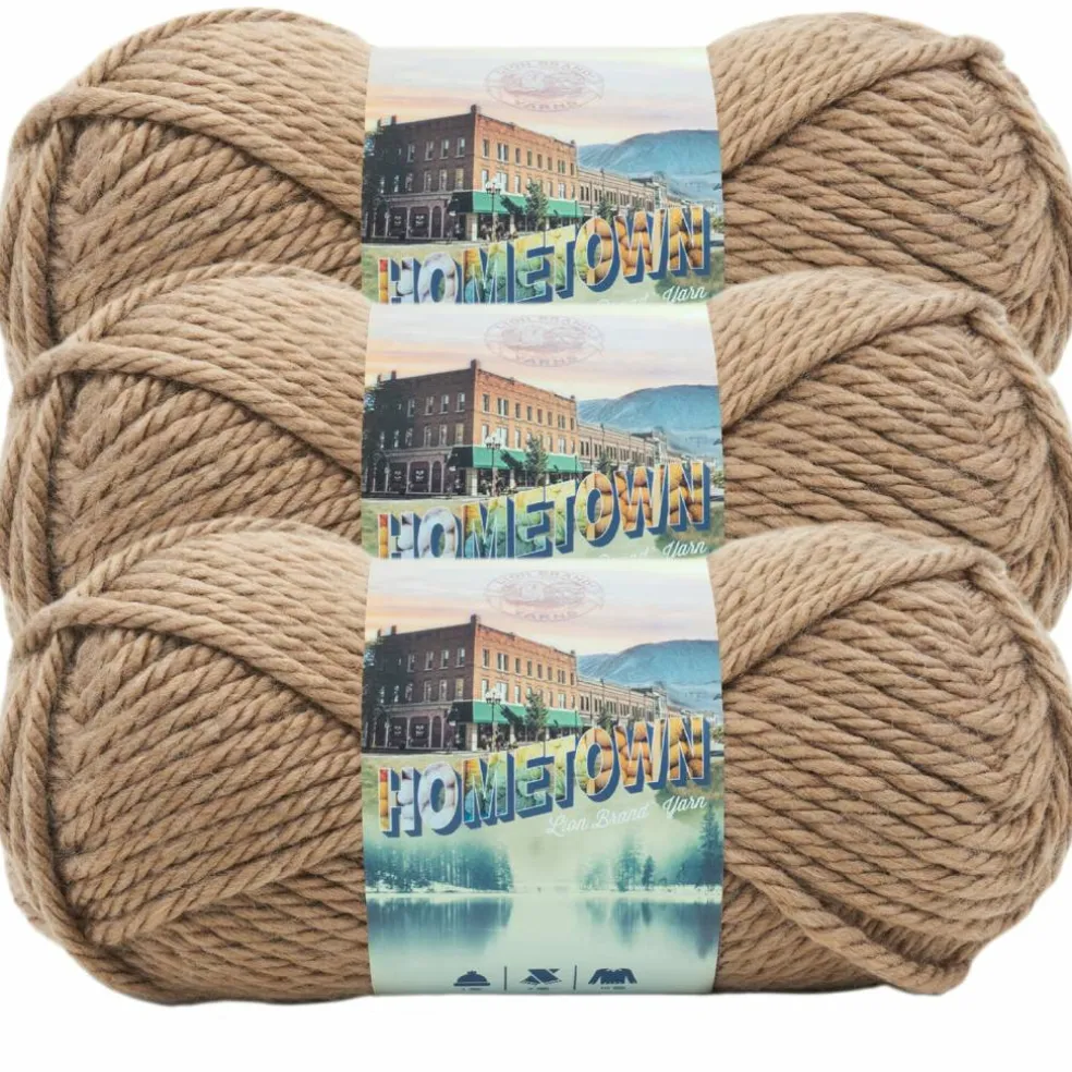 3 Pack Lion Brand® Hometown Yarn
