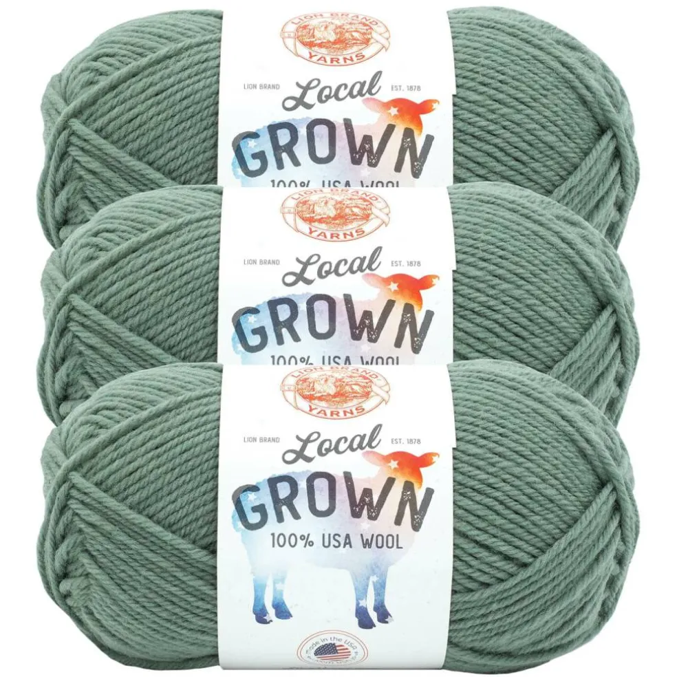 3 Pack Lion Brand® Local Grown Yarn