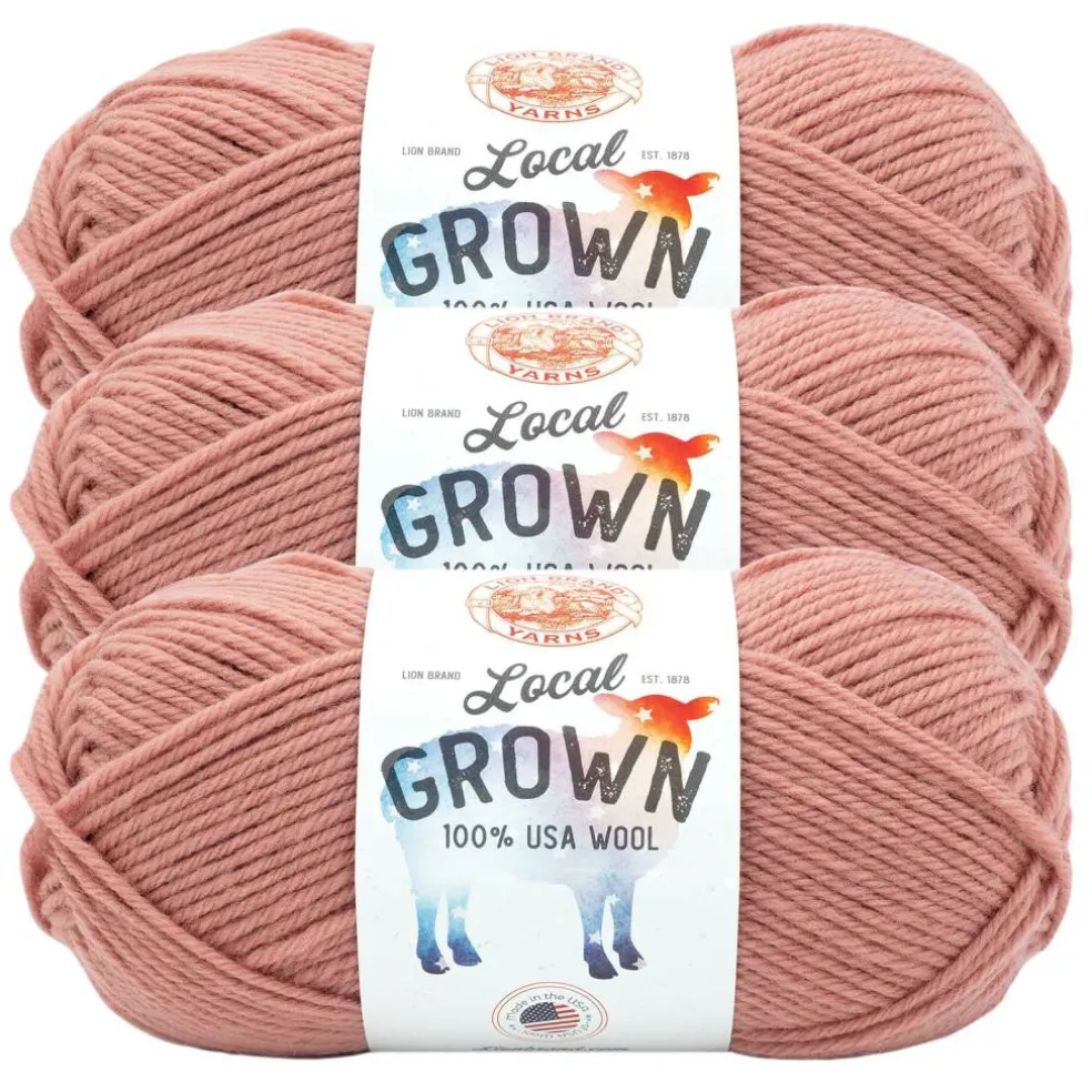 3 Pack Lion Brand® Local Grown Yarn