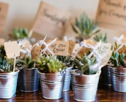 12 Pack Mini Size 2.37" Tall Metal Buckets with Handles, Small Galvanized Tin Pails for Party Favor, Succulent, Wedding, Not Watertight