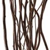 12 Pack: Natural Curly Willow by Ashland®