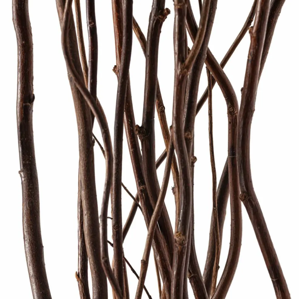 12 Pack: Natural Curly Willow by Ashland®
